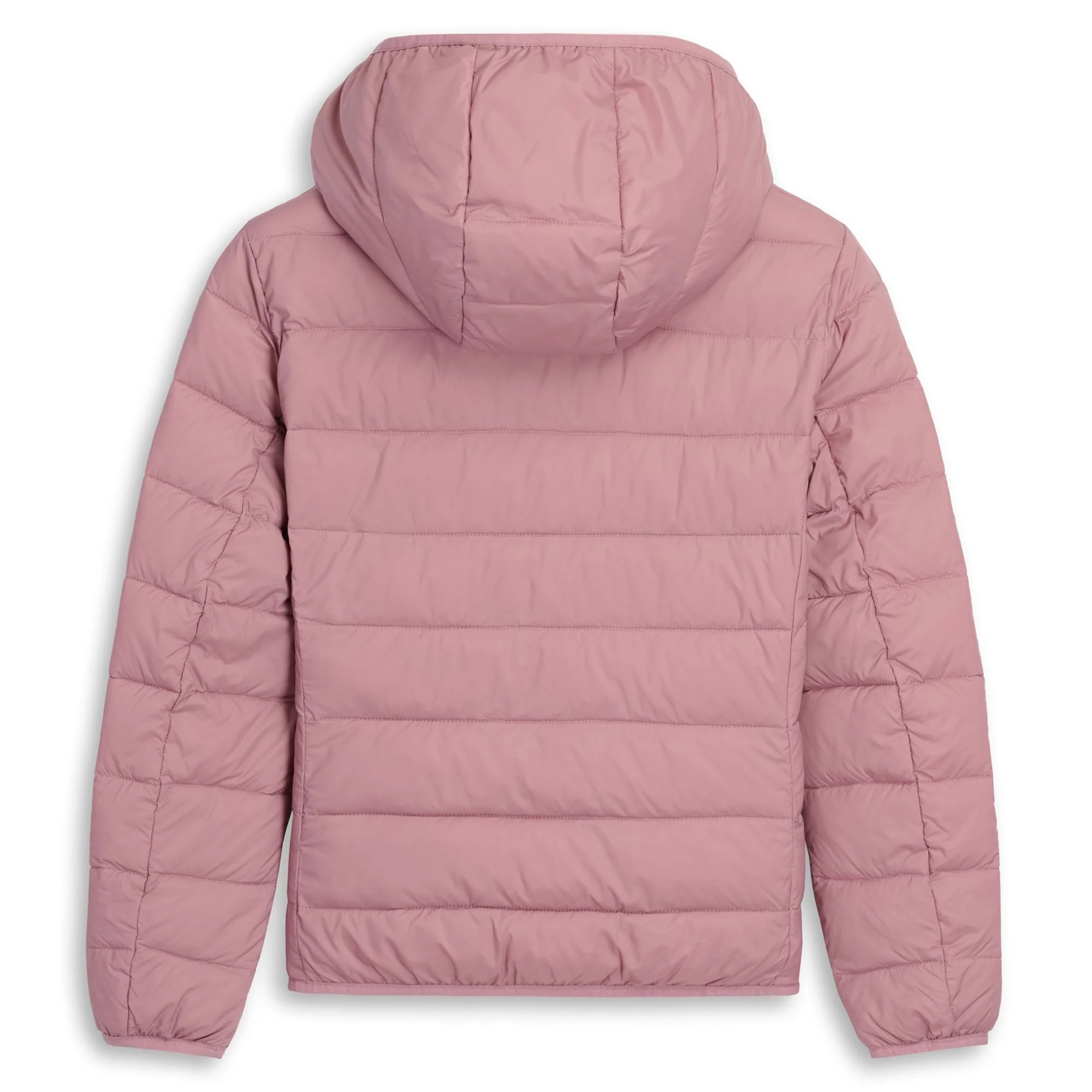TIZIANA - Jackets - Short - Woman - PINK NOSTALGIA - Image 3